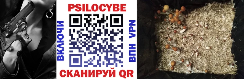 Галлюциногенные грибы Psilocybe  сколько стоит  Сарапул 