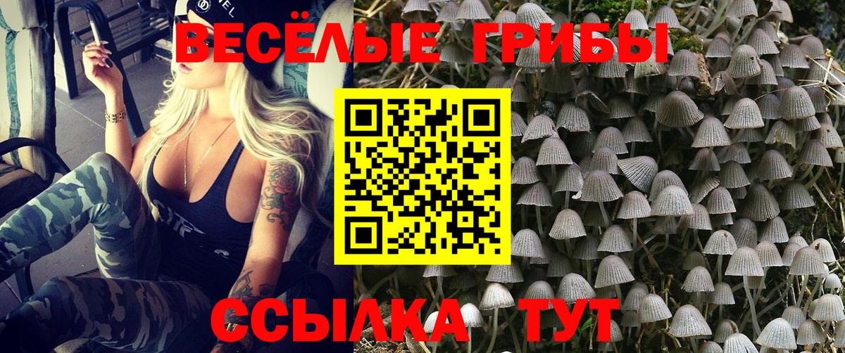 Псилоцибиновые грибы MAGIC MUSHROOMS Сарапул