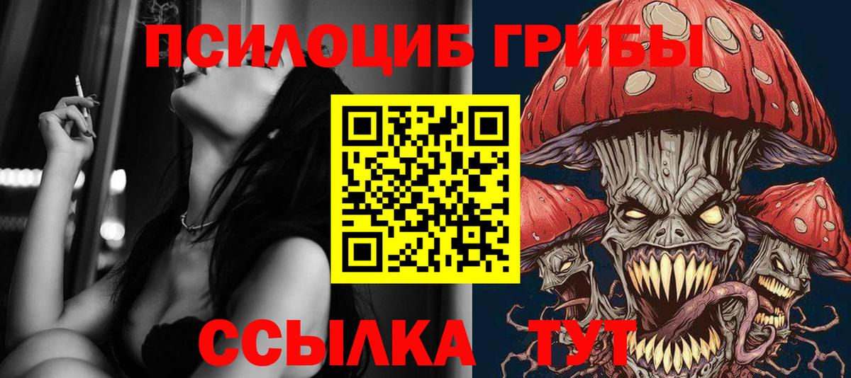 Псилоцибиновые грибы GOLDEN TEACHER  Сарапул 