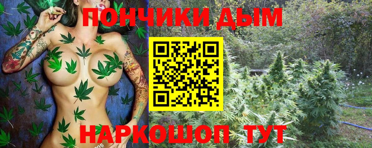 Бошки Шишки White Widow  Сарапул  Каннабис сатива 